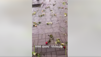 6666 роз для Анны
