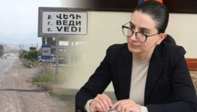 Анна Вардапетян
