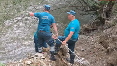 Опубликовано видео