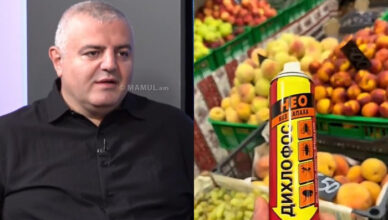 Арег Савгулян