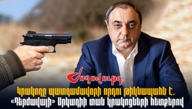 телохранитель сына депутата